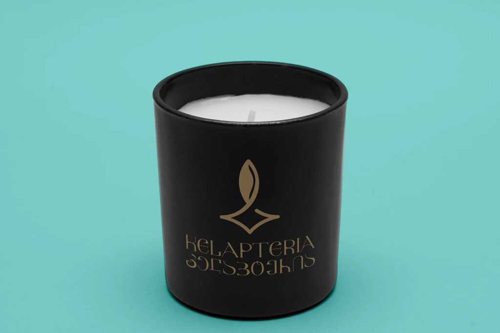 503890149_648240064844979_2048606615930337001_n