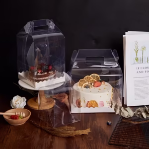 ბენტო ტორტის გამჭვირვალე ხელჩანთა