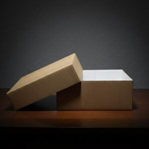 კრაფტის ყუთი